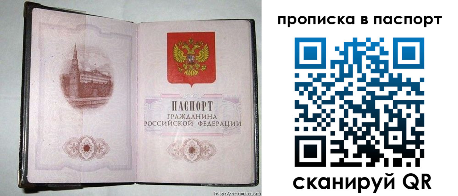 прописка штамп в Сольцах